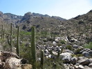 photo thumbnail #3