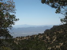 photo thumbnail #8