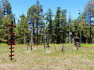 photo thumbnail #10