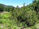 photo thumbnail #13
