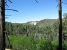 photo thumbnail #6