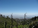 photo thumbnail #12
