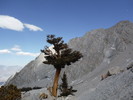 photo thumbnail #15