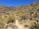 photo thumbnail #5