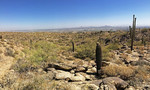 photo thumbnail #8