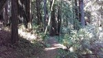photo thumbnail #10
