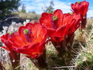 photo thumbnail #4
