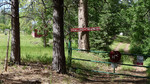 photo thumbnail #12