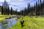 photo thumbnail #6
