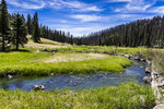 photo thumbnail #7