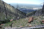 photo thumbnail #3