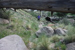 photo thumbnail #5