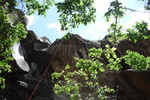 photo thumbnail #12
