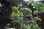 photo thumbnail #15