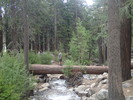 photo thumbnail #2