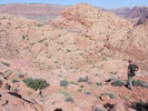 photo thumbnail #11