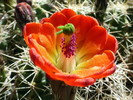 photo thumbnail #9