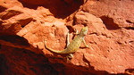 photo thumbnail #9