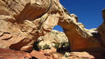 photo thumbnail #3