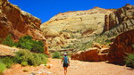 photo thumbnail #2
