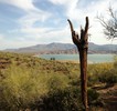 photo thumbnail #10