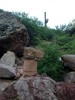 photo thumbnail #11