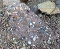 photo thumbnail #12