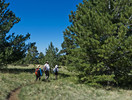 photo thumbnail #2