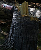 photo thumbnail #12