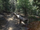 photo thumbnail #2