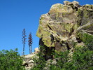 2014-06-07 :1: Spruce Davis Union Tritle Maverick Loop :: joebartels