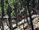 photo thumbnail #11