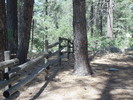 photo thumbnail #15