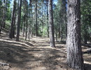 photo thumbnail #3