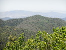 photo thumbnail #14