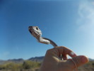 photo thumbnail #1