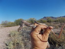 photo thumbnail #2