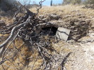photo thumbnail #3