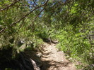 photo thumbnail #7