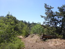 photo thumbnail #8