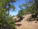 photo thumbnail #9