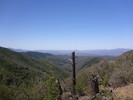 photo thumbnail #10