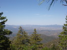 photo thumbnail #13