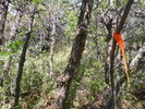 photo thumbnail #14
