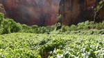 photo thumbnail #14