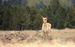 photo thumbnail #1