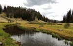photo thumbnail #5