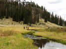 photo thumbnail #6