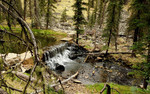 photo thumbnail #11