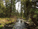 photo thumbnail #15